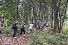 viber_image_2025-05-31_16-59-39-867